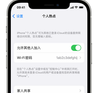 上林apple服务站点分享iPhone上个人热点丢失了怎么办 