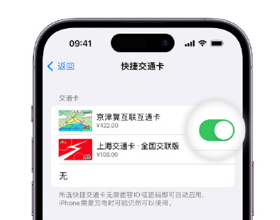 上林apple维修点分享iPhone上更换Apple Pay快捷交通卡手绘卡面 