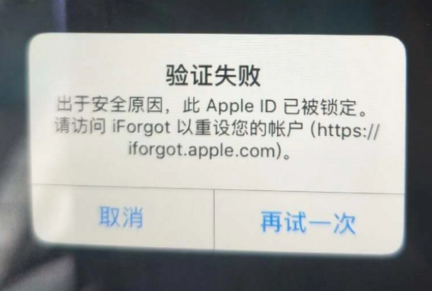 上林iPhone维修分享iPhone上正常登录或使用AppleID怎么办 