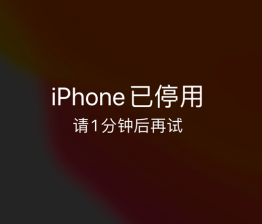 上林苹果手机维修分享:iPhone 显示“不可用”或“已停用”怎么办？还能保留数据吗？ 