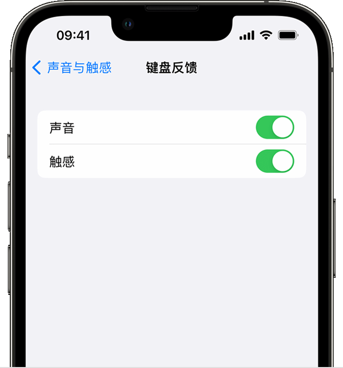 上林苹果14维修店分享如何在 iPhone 14 机型中使用触感键盘 