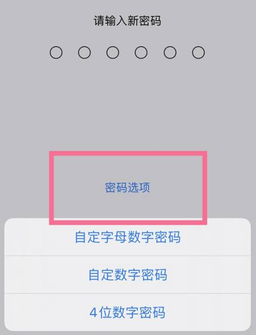 上林苹果14维修分享iPhone 14plus设置密码的方法 