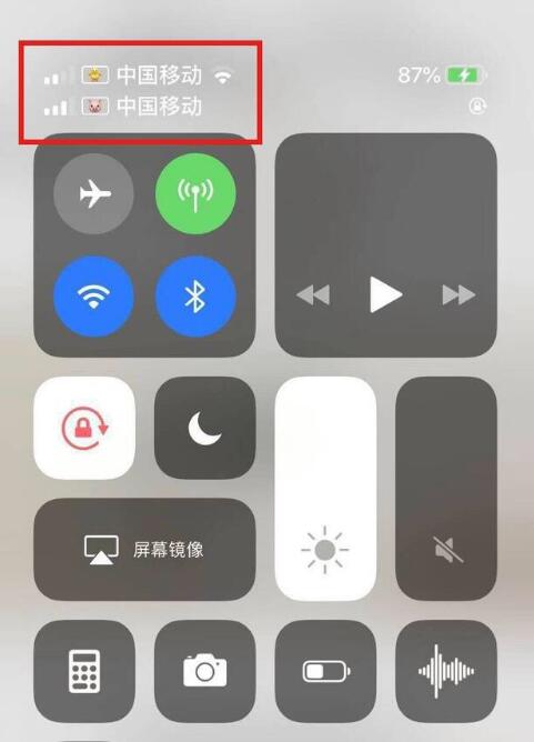 上林苹果手机维修分享为 iPhone 12 双卡设置标签 