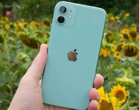 上林苹果维修点分享iPhone 11锁屏密码认知与使用科普 